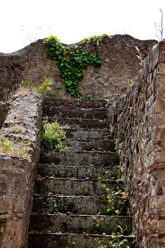 91_Herculaneum_ (16)