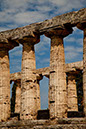 7_Paestum_ (4)